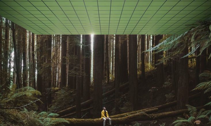 Jornada técnica Ecophon. Acústica y Bienestar: Conceptos básicos de acondicionamiento y diseño acústico