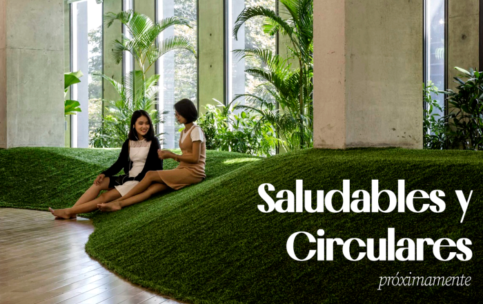 Oficinas del Presente: Espacios Saludables y Diseño Circular