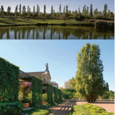 07 OCT<br>ciudad amable<br>Valencia<br>Del Parque de Cabecera a Las Hespérides