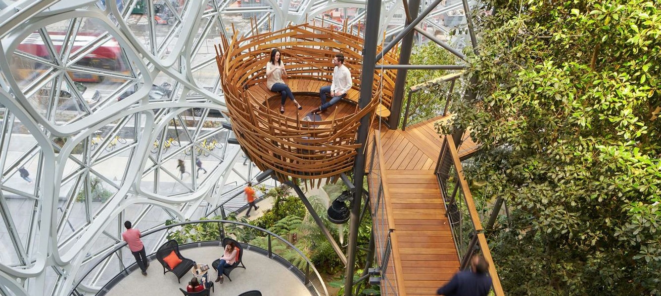 Curso de Introducción a la Neuroarquitectura